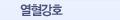 열혈강호